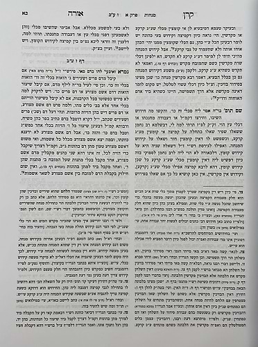 קרן אורה על הש