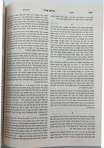 קרן אורה על הש