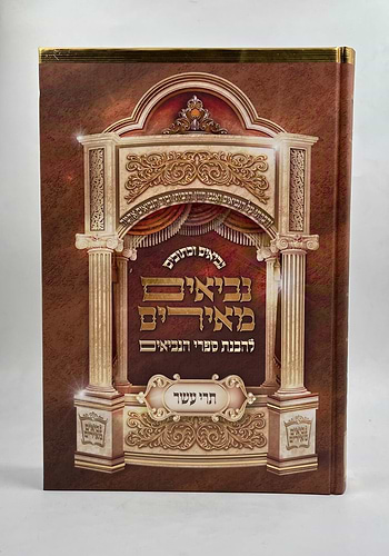 נביאים מאירים - תרי עשר / הרב רונן חזיזה