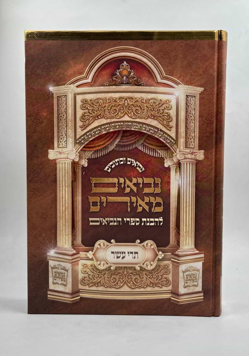 נביאים מאירים - תרי עשר / הרב רונן חזיזה שליט"א