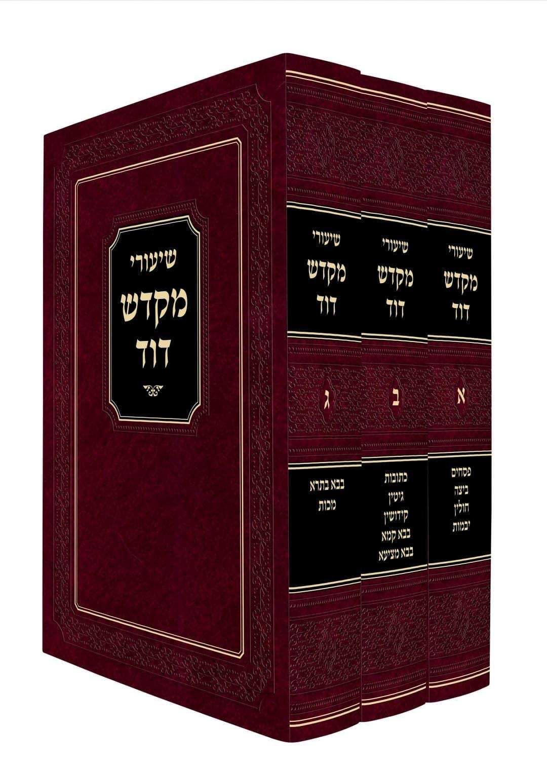 שיעורי מקדש דוד על הש"ס ג