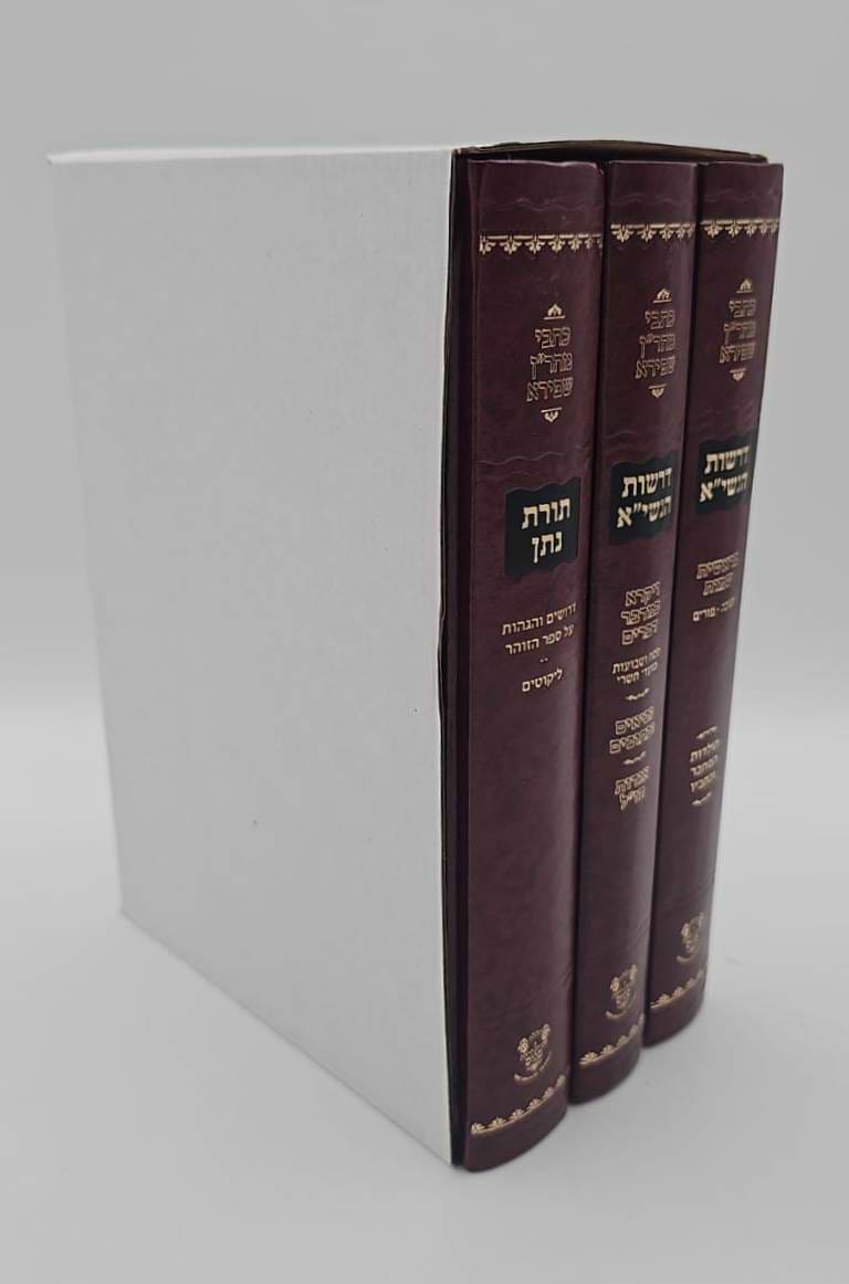 דרשות הנשי"א • תורת נתן ג