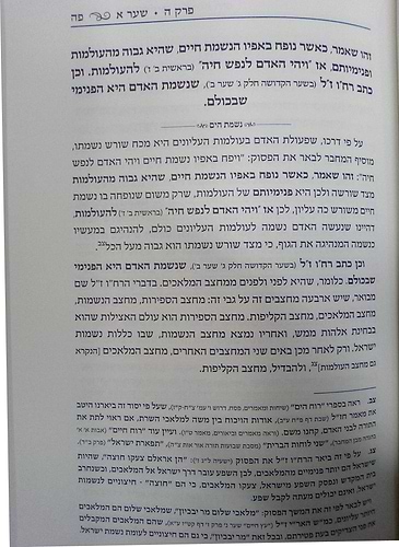 נפש החיים עם ביאור נשמת הים חלק א' לרבינו הרה