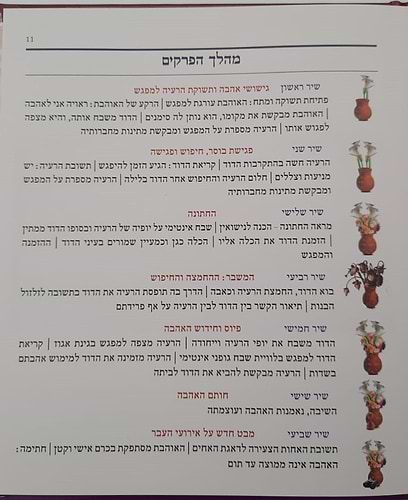 שירה חדשה מתחתנים - שיר השירים חופה וקידושין / מפעל משנה תורה (יוחאי מקבילי)
