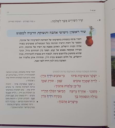 שירה חדשה מתחתנים - שיר השירים חופה וקידושין / מפעל משנה תורה (יוחאי מקבילי)