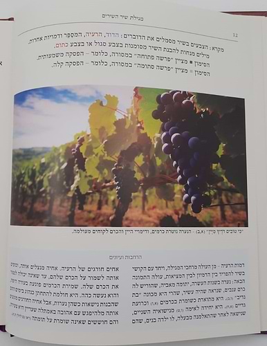 שירה חדשה מתחתנים - שיר השירים חופה וקידושין / מפעל משנה תורה (יוחאי מקבילי)