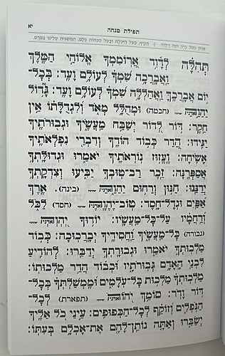 סידור מנחה ערבית - אביר יעקב דמוי עור ע