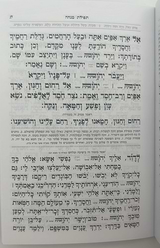 סידור מנחה ערבית - אביר יעקב דמוי עור ע