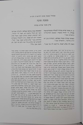חידושי הרא