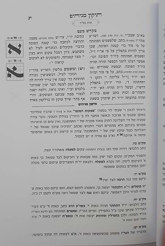 תיקון מגיהים - דיני צורת האותיות בסת