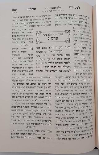 לשם שבו ואחלמה - ספר הביאורים עם ליקוט מאיר הלשם חלק ב' / הרב יהושע ליפשיץ שליט