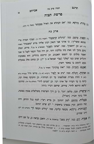 תרגם אברהם • פירוש התפילה / רבי אברהם בן הגר
