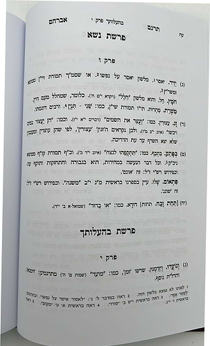 תרגם אברהם • פירוש התפילה / רבי אברהם בן הגר