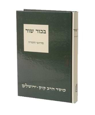 פירוש רבי יוסף בכור שור על התורה / ד