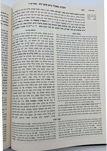 הוראה ברורה - תערובות