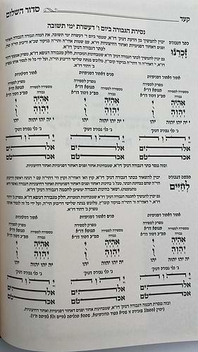 סידור השלום - עשרת ימי תשובה, כוונות הנסירה / ר' יצחק בצרי שליט