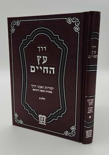 דרך עץ החיים - יסודות ואבני דרך מתורת הגאון הינוקא / רבינו שלמה יהודה בארי שליט