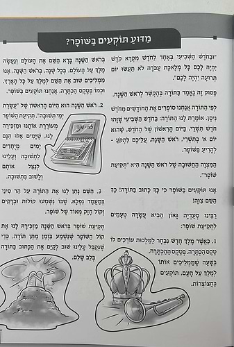 פניני המועדים לאבות ובנים - חגי תשרי / הופקוביץ