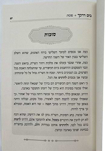 בים דרכך - ביאור פנימיות עבודת המועדים - סוכות הושענא רבה שמחת תורה / הרב י.מ מורגנשטרן 