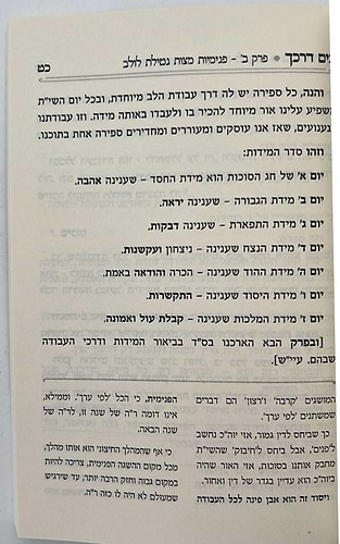 בים דרכך - ביאור פנימיות עבודת המועדים - סוכות הושענא רבה שמחת תורה / הרב י.מ מורגנשטרן 