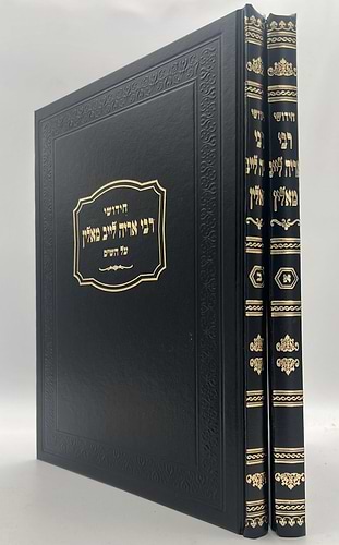 חידושי רבי אריה לייב מאלין על הש