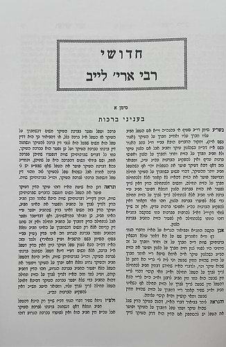 חידושי רבי אריה לייב מאלין על הש