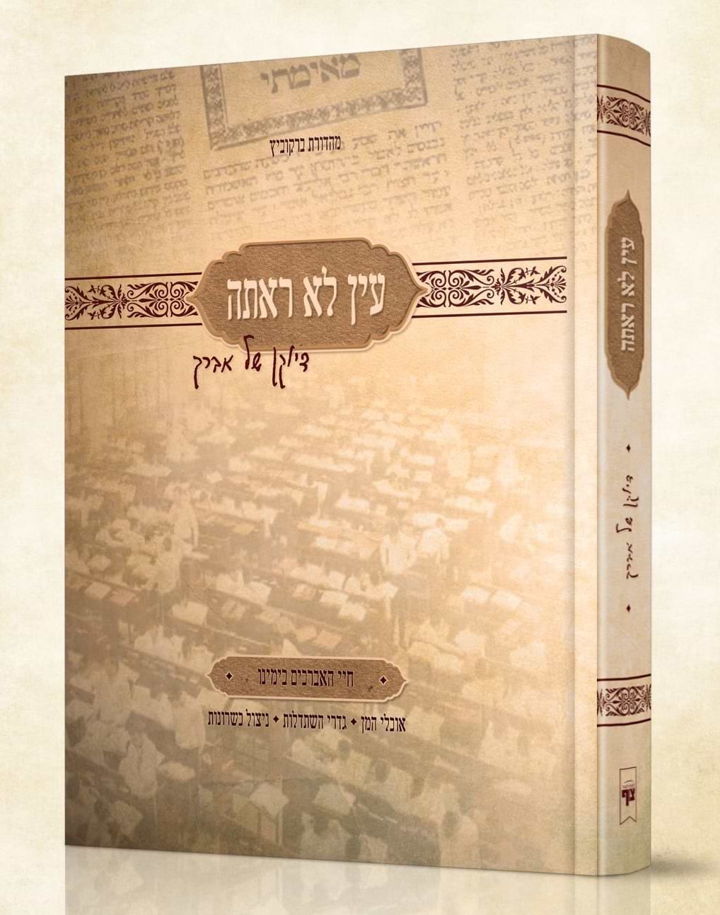 עין לא ראתה - דיוקן של אברך / חיי האברכים בימינו