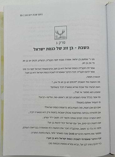 נועם שבת ויום טוב / הרבנית י. ניישטאט