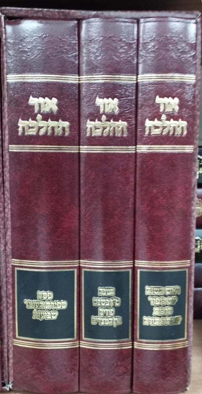אור ההלכה - מועדים סט ג