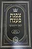 צפנת פענח לגאון הרוגוצ'ובר - מסכת בבא קמא / מכון המאור