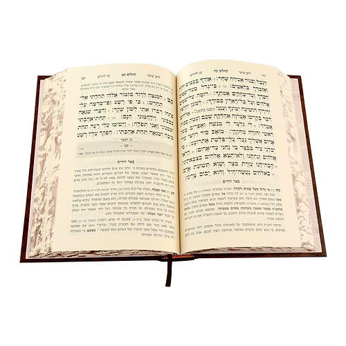 תהילים באר החיים - מן הבאר / ר' אברהם אלימלך בידרמן