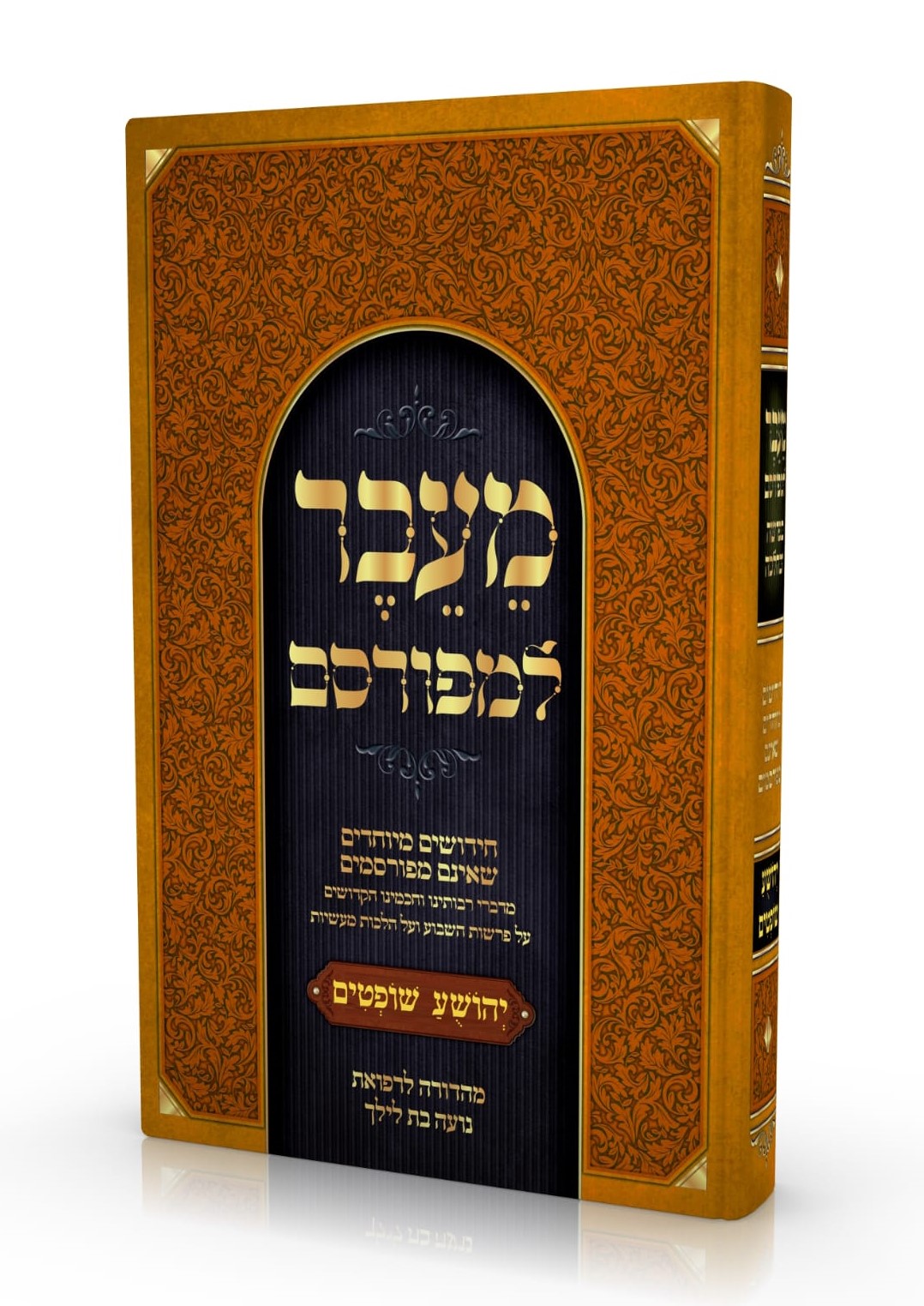 מעבר למפורסם - יהושע שופטים / חידושים מיוחדים