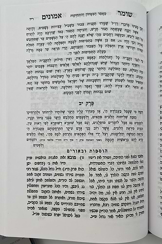 שומר אמונים המנוקד / הרב אהרון ראטה