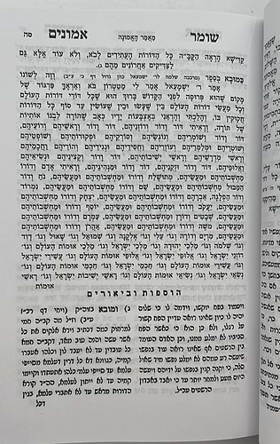 שומר אמונים המנוקד / הרב אהרון ראטה