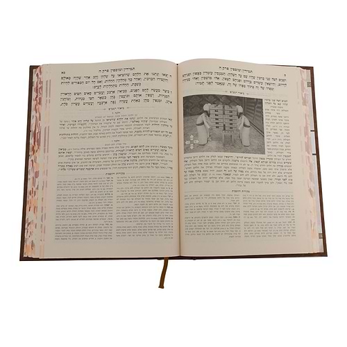 משנה תורה לרמב