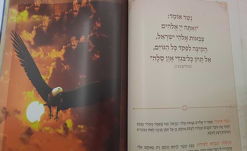 פרק שירה - עם ביאור הפסוקים ושייכות הנברא לשירה / פורמט ענק