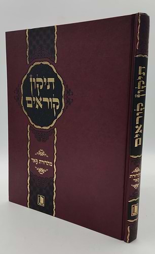 תיקון קוראים - הוצאת מישור / פורמט גדול
