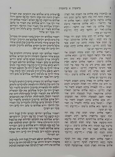 תיקון קוראים - הוצאת מישור / פורמט גדול