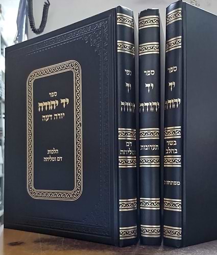 יד יהודה - הלכות בשר בחלב • תערובות • דם ומליחה סט ג' כרכים / על שולחן ערוך יורה דעה