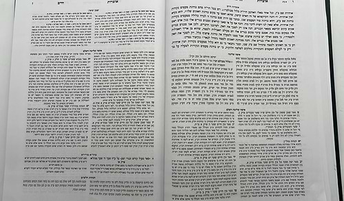 אוצרות חיים למהרח