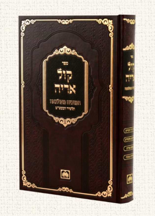 קול אריה - רבי יהודה אריה ליב המוכיח מפולנאה זצ