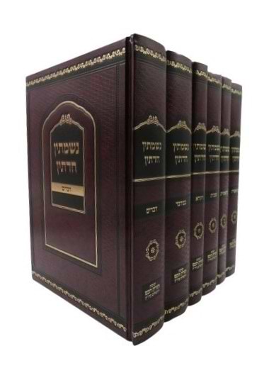 נשמתין חדתין - על התורה ו