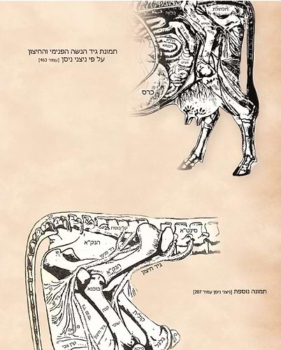 סדר הניקור לבעל העיטור עם פירוש הר