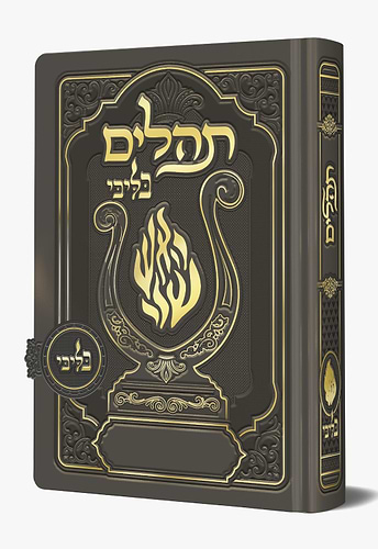 תהלים מגנט - הנבל עם האש שלי צבע אפור פורמט בינוני / בליבי