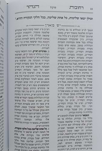 הקדמת רחובות הנהר לרש