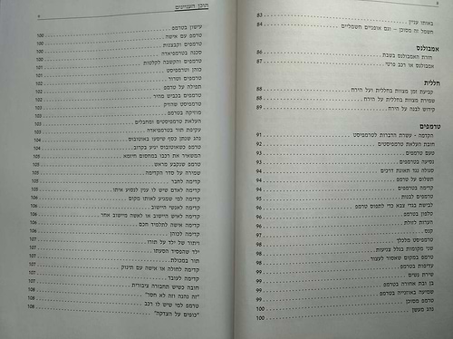ויהי בנסוע - הלכות נסיעה / הרב שלמה אבינר