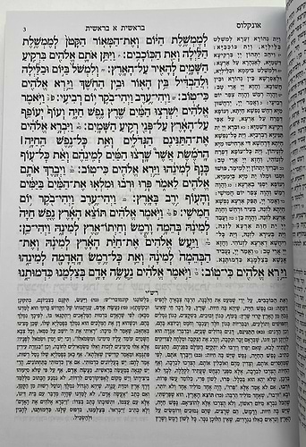 חמשה חומשי תורה עבודה שבלב בכרך אחד / למינציה לבן