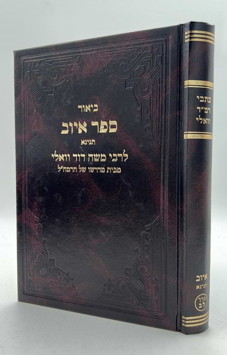 כתבי רמ"ד וואלי - איוב תנינא