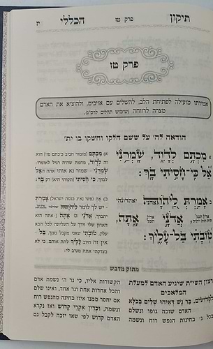 תיקון הכללי מתוק מדבש - פורמט גדול / הרב דניאל פריש זצוק