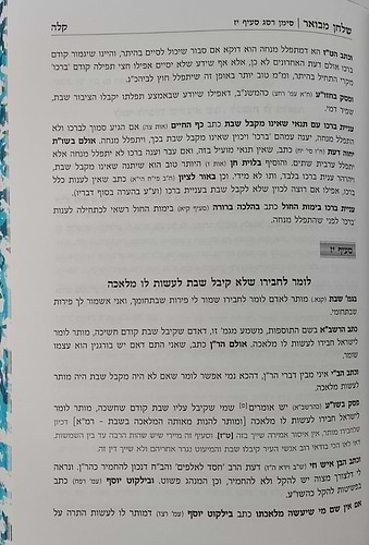 שלחן מבואר - הלכות שבת / סימנים: רמב-שדמ